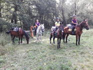 Vyjížďky na koních po okolí Brna