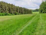 Offroad dobrodružství - zjistěte limity svého auta