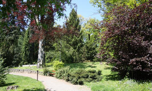 Arboretum Bílá Lhota - individuální prohlídka