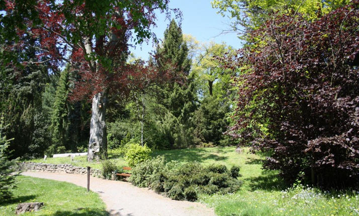 Arboretum Bílá Lhota - individuální prohlídka