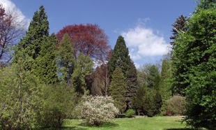 Arboretum Bílá Lhota - skupinová prohlídka s průvodcem