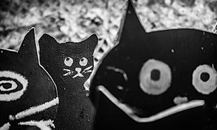 Úniková hra - Planeta koček