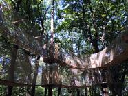 3D bludiště v korunách stromů - Atrakce plná dobrodružství