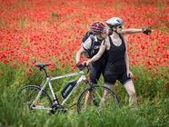 Pronájem Elektrokola (1D)