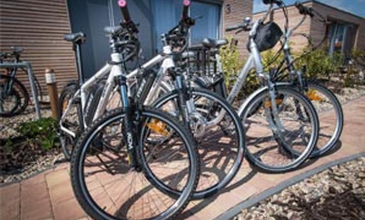 Pronájem Elektrokola (1D)