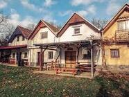 Řízená degustace a vycházka do vinohradu pod Nedánovem