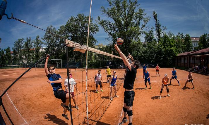 Pronájem volejbalového kurtu v Lužánkách - 9 kurtů