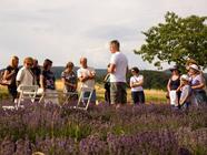 Komentovaná prohlídka Levandulového statku Bezděkov