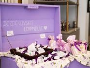 Komentovaná prohlídka Levandulového statku Bezděkov