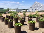 Eden - zábavní a poznávací park na Vysočině