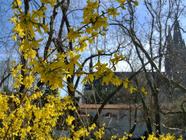 Procházky Prahou - Vánoce na Pražských hradbách