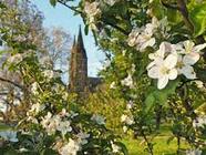 Procházky Prahou - Vánoce na Pražských hradbách