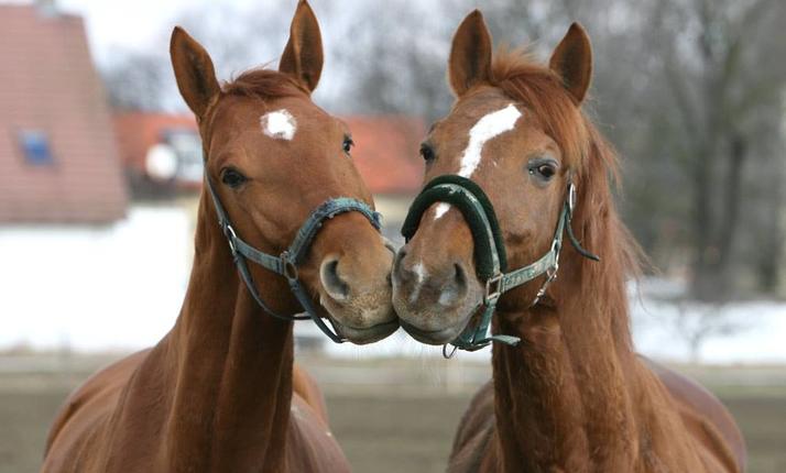 Terénní vyjížďka