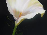 Kurz olejomalby technikou Boba Rosse nebo Garyho Jenkinse