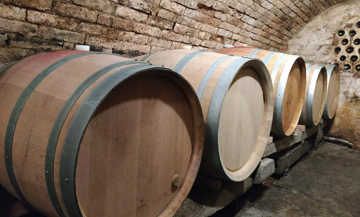 Ochutnávka mezi sudy