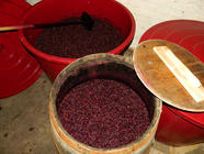 Ochutnávka mezi sudy