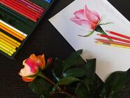 Ptáček pastelkou moderně a od začátku - online kurz