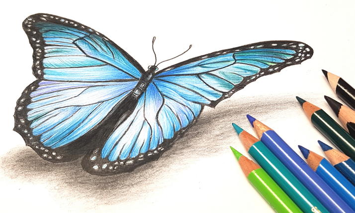 Motýl pastelkou moderně a od začátku- online kurz