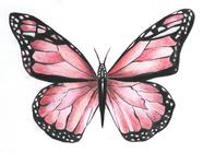 Motýl pastelkou moderně a od začátku- online kurz