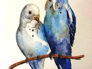 Kurz základů akvarelové malby