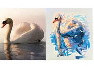 Labuť akrylem na plátno - online kurz