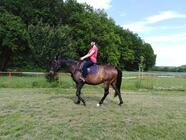 Projížďky na koních pro zkušené jezdce na Farmě pod Hradem Dívčí hrad