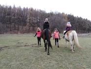 Výuka jízdy na koních