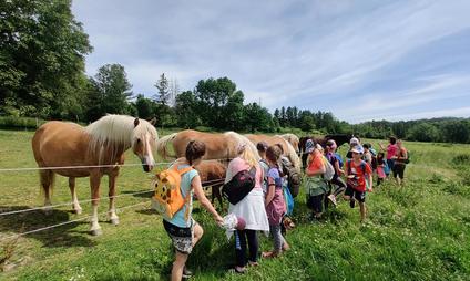 Skupinové vodění dětí na koni s prohlídkou farmy
