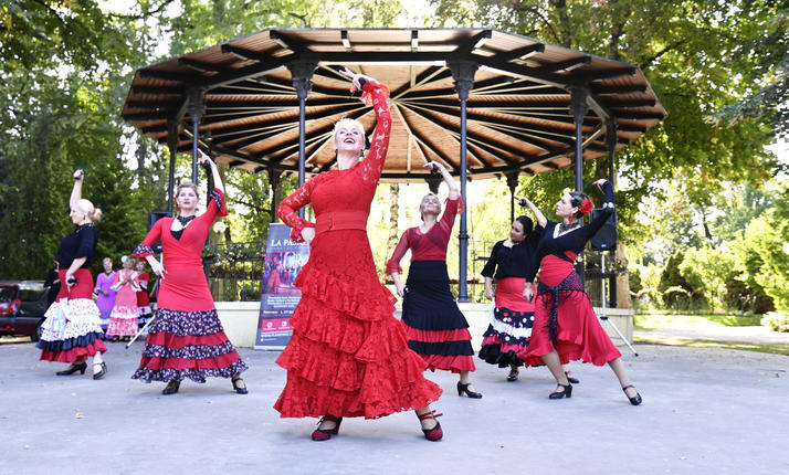 Technika tance flamenca - online kurz