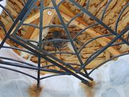 Úniková hra - Lesní labyrint