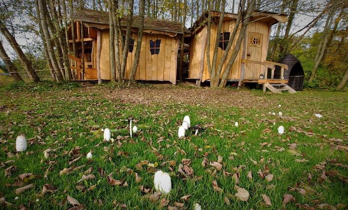 Úniková hra - Lesní labyrint