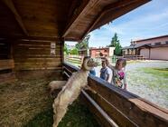 Krmení zvířátek a výroba svíček dle vlastního výběru