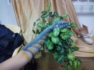 Speciální workshop Airbrush pro začátečníky