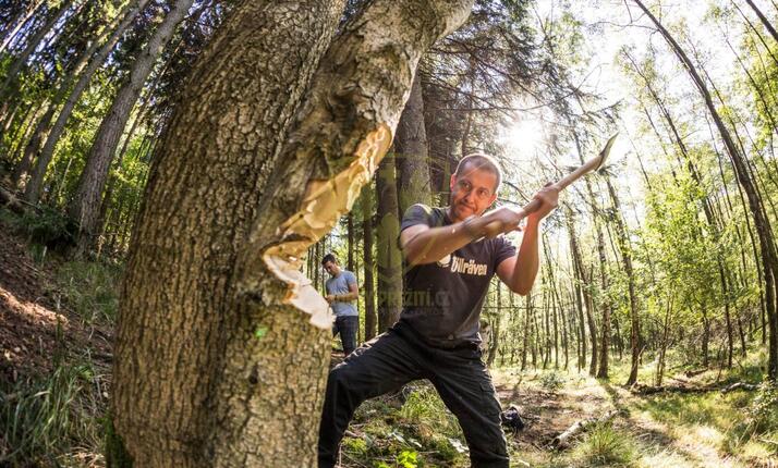 Přežití v přírodě