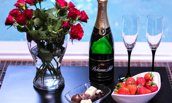 Wellness Tara Přehýšov - Balíček Bohemia