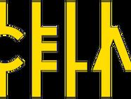 Úniková hra - Cela