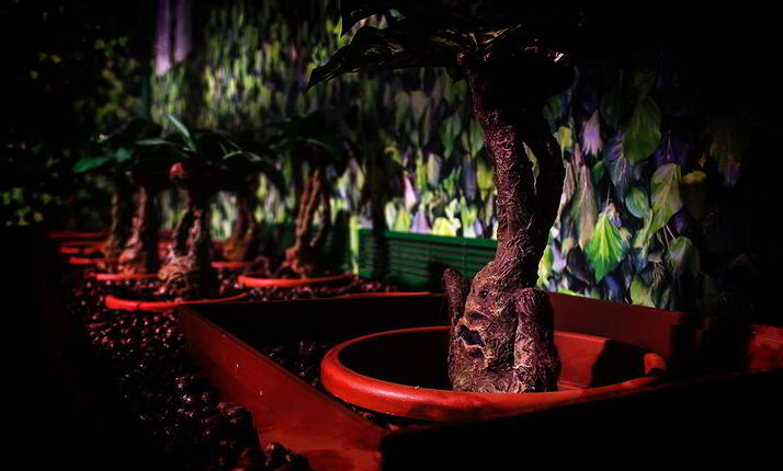 Úniková hra - Škola kouzel