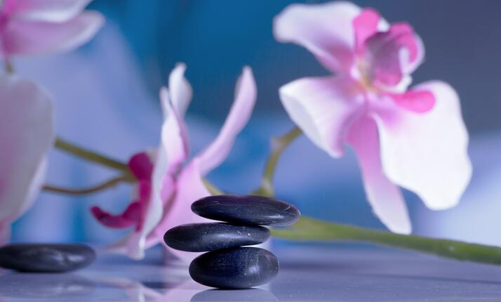 Bodyter - hubnutí řízené počítačem