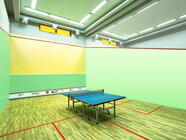Stolní tenis - 2 stoly v sportovním centru Hector