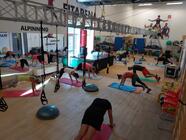 TRX - cvičení na závěsném systému