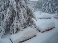 Hromadný workshop jízdy na sněhu v horském prostředí