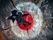 Hod sekerou - zasaďte tvrdou ránu