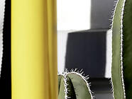 Ralph Gibson - výstava fotografií