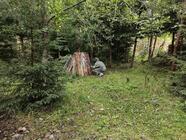 Paintball Rotava - kvalitní paintball za přijatelnou cenu