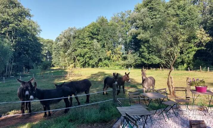 Půldenní program včetně pikniku na farmě Oslí stezka Český ráj