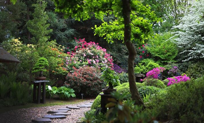 Botanická zahrada Praha - poznejte všechny krásy rostlin