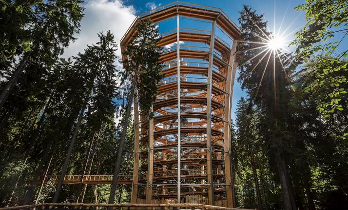 Stezka korunami stromů Krkonoše - Od kořenů do korun stromů