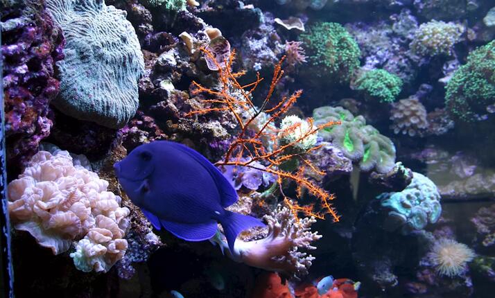 Zoo Lešná Zlín – jedno z nejkrásnějších míst celé Moravy