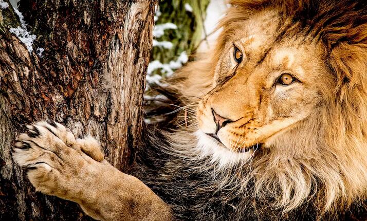 Zoo Ústí nad Labem – vstupte do říše zvířat