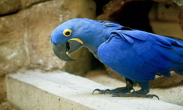 Zoologická zahrada Liberec - dobrodružství z poznání